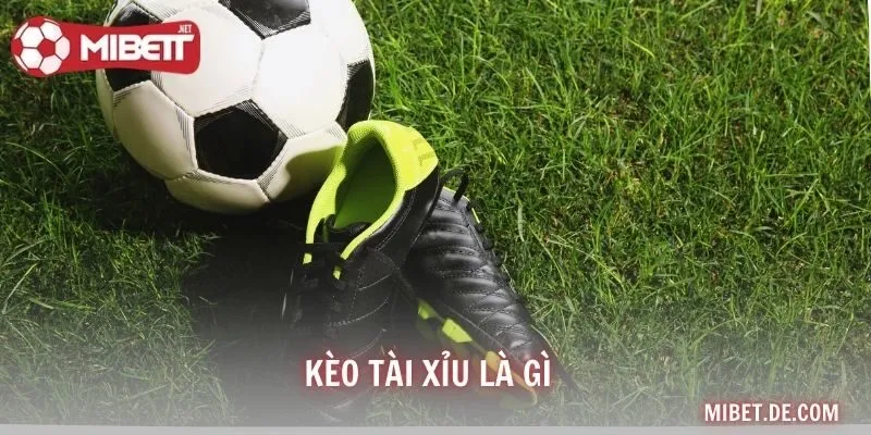 Kèo Tài Xỉu Là Gì